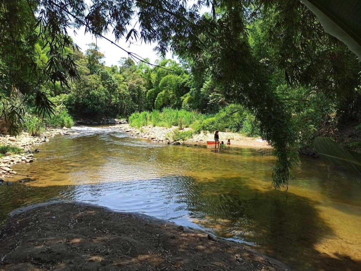 Ecoisa De Chacara - Casa De Vidro, Casa De Campo Морретис Экстерьер фото