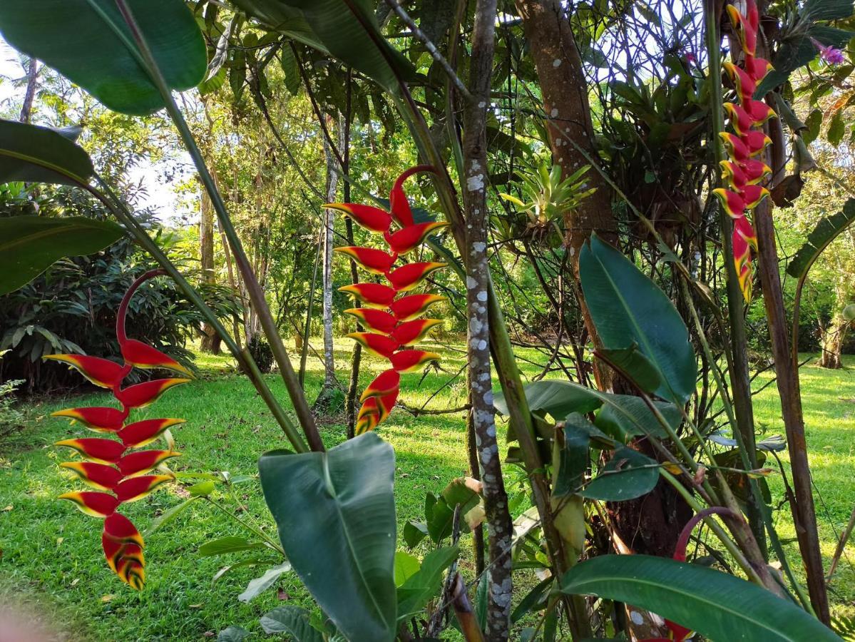 Ecoisa De Chacara - Casa De Vidro, Casa De Campo Морретис Экстерьер фото