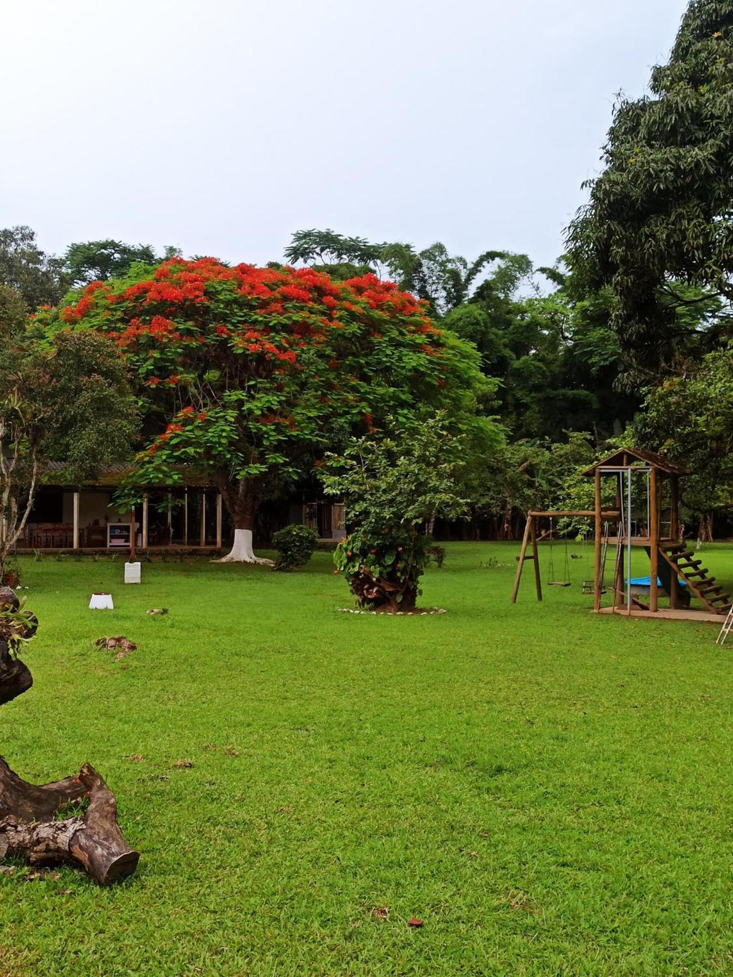 Ecoisa De Chacara - Casa De Vidro, Casa De Campo Морретис Экстерьер фото